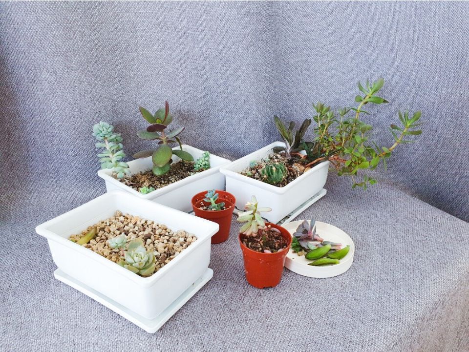 ����������� ����������: ��� ��� �������