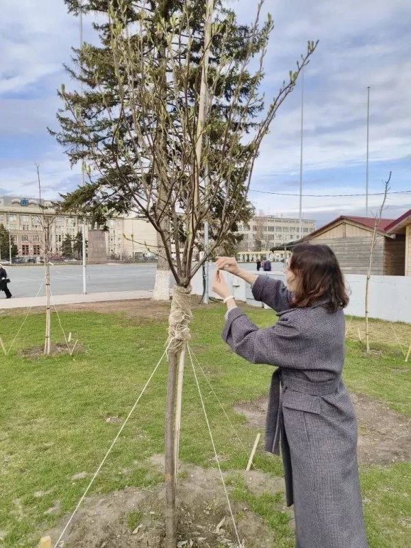 � ������ ������������ ���������� ��������� ��������