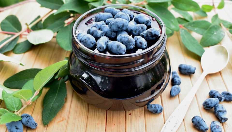 ����� ���������: ������� ������������� ��������������� �������