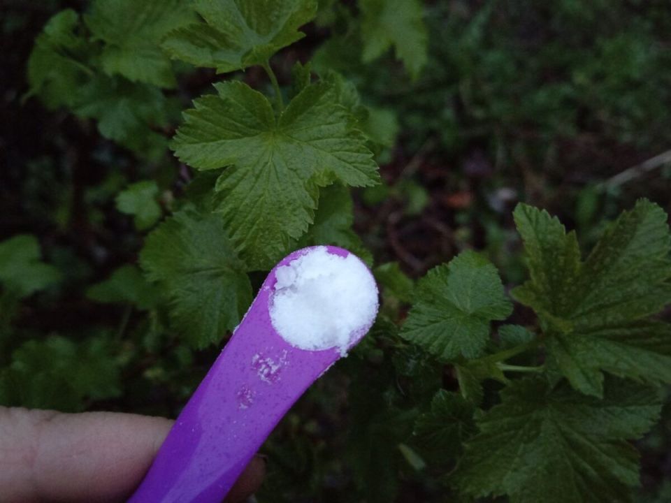 ������������ ��������� ����� ���������: ������� �������� ������