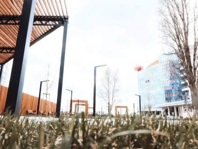 � ������ ������ ������ ���� ��������� � ���� ����