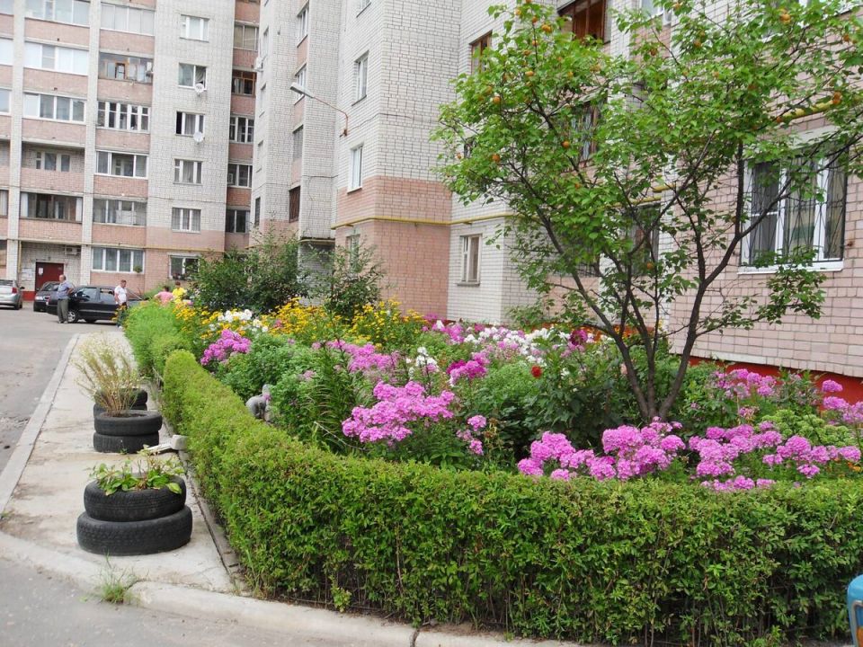 ������ � ��������: ��� ������� ���� �������� � �� ������� �� ����� � 2026 ����