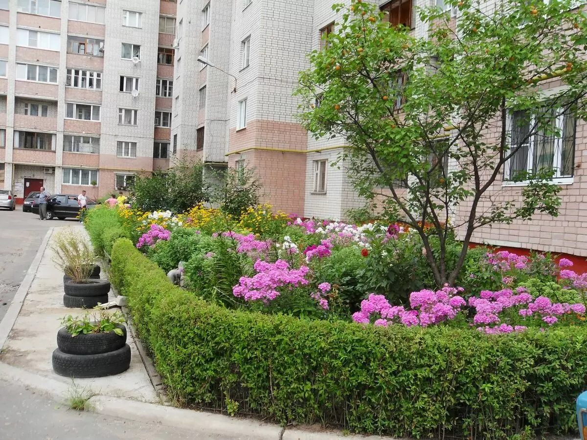 Клумба у подъезда: как сделать двор красивее и не попасть на штраф в 2026 году