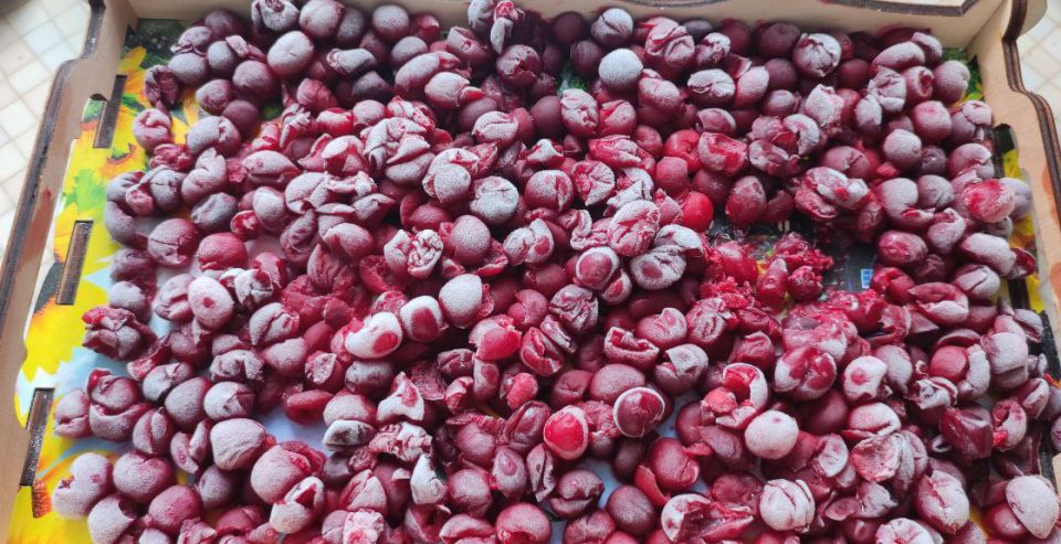 ��� ��������� ������ �����: �������� ������ �� ��������� �� ����