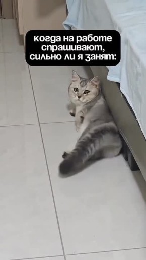 Кому знакомо?)