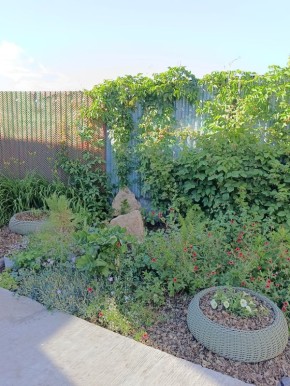 Как эффектно замаскировать крышки колодцев: креативные идеи для вашего сада