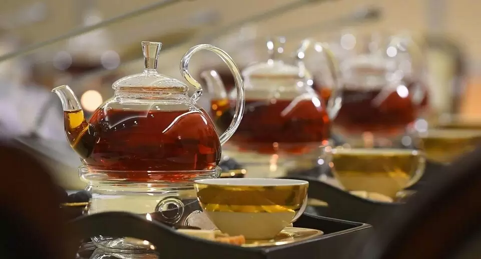 Здоровые альтернативы кофе: матча и пуэр на смену чашке энергизирующего напитка