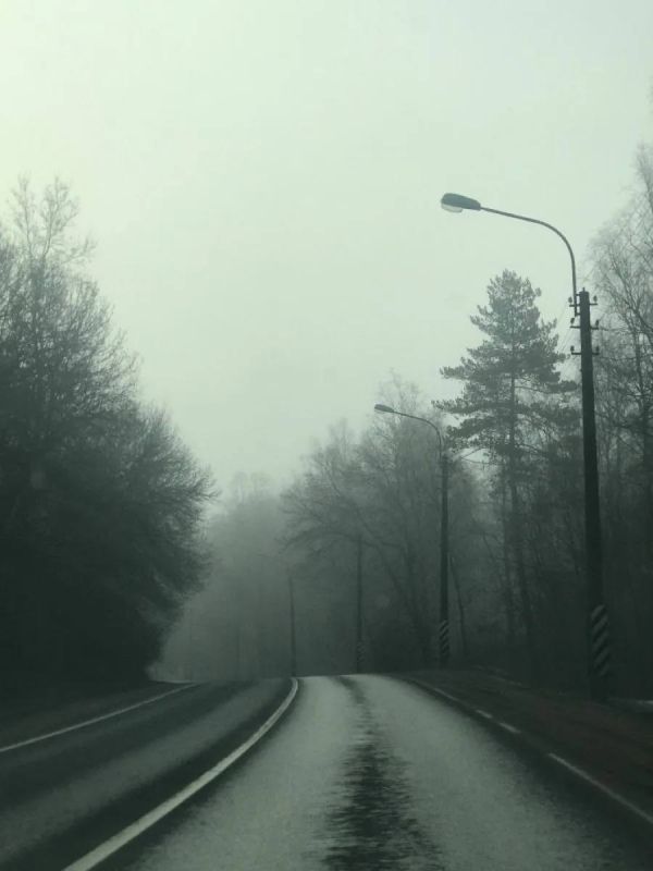 �� ������ �������������� 10.04.2026 �� ���������� ����������� ������� �������� ������, � ������������