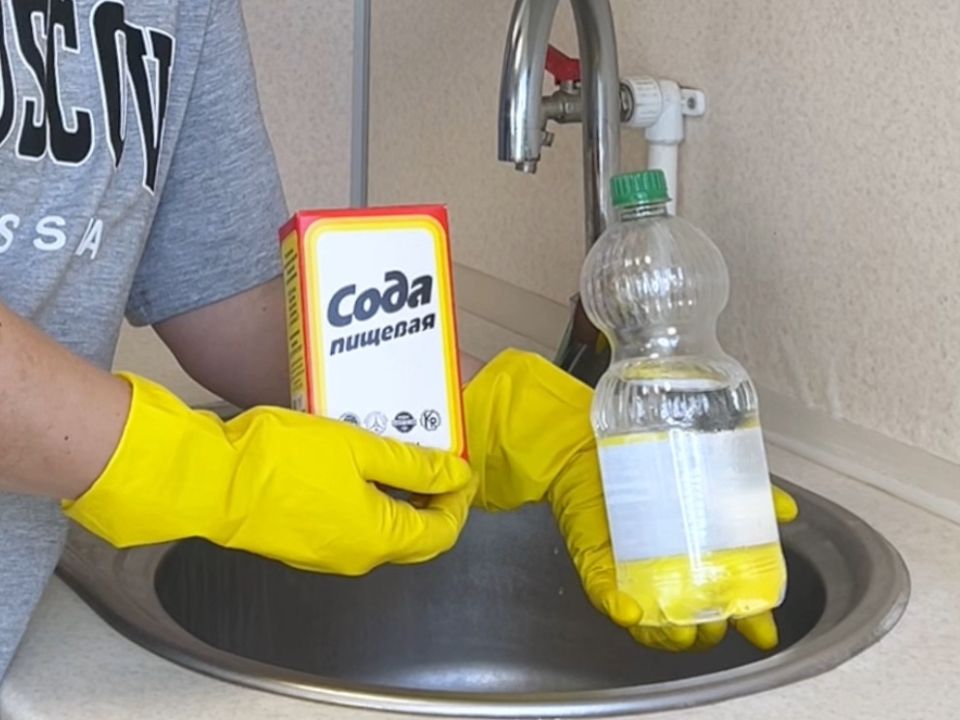 ���� � ������ ����: ������ ���� � ������� ������ ���������� �������� � ��� ������������� �������