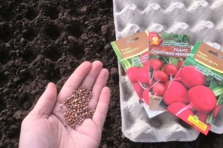 �������� ��������� � ����: ����� ����� �������� � �������