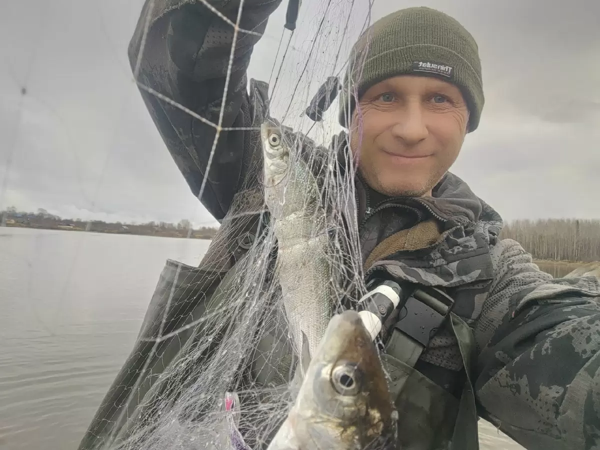 Сиговая феерия: осенние уловы радуют рыбаков!