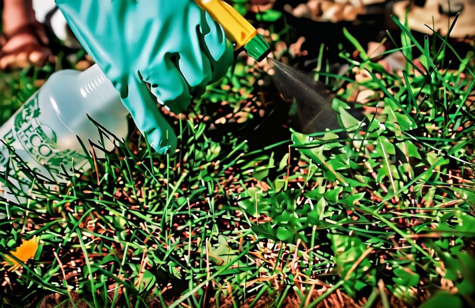 ��������� ������ ������ � ���������: ������, ������� ������ ������