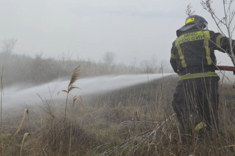 � ���� ���������� ������ ������ �� ������� ������� ������