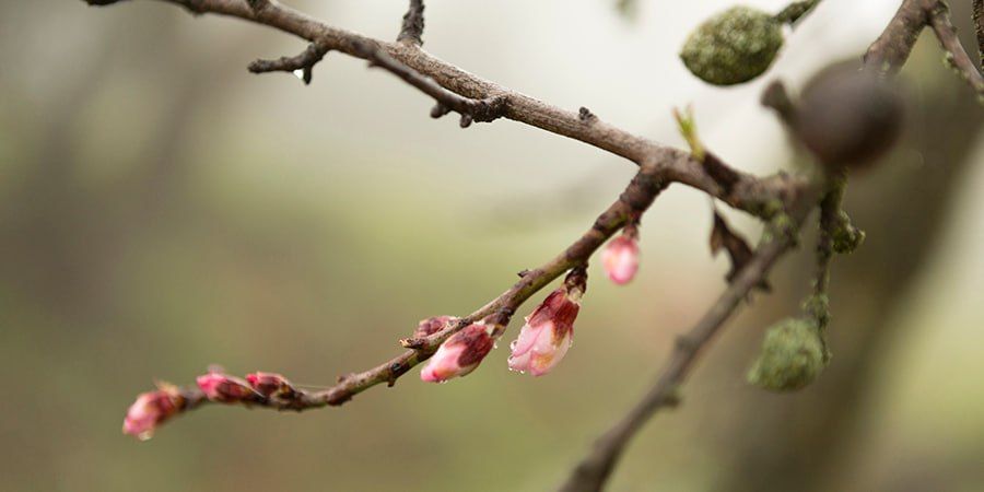 � ����������� ������� ����� ��������� �������� �������� ����� �� +21