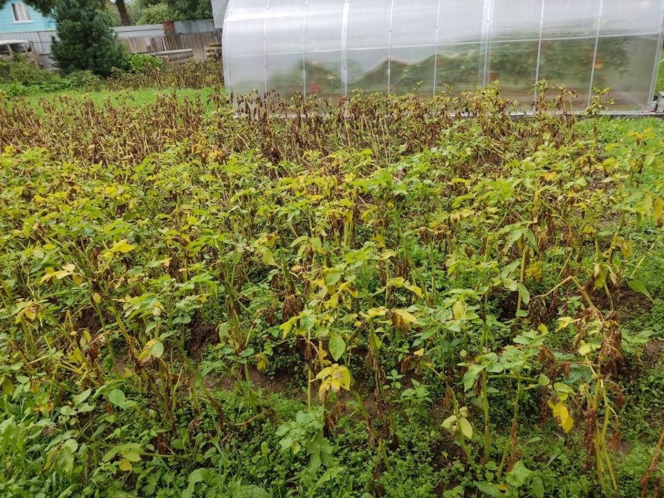 ������ ��� ������: ������ �������� ��������� � ��� � ��� ������?