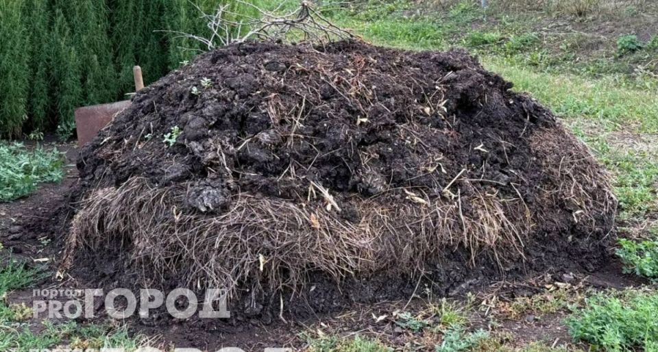 ������ �������: ��� ����������� �������� ���������� � �������� ������������ ���������