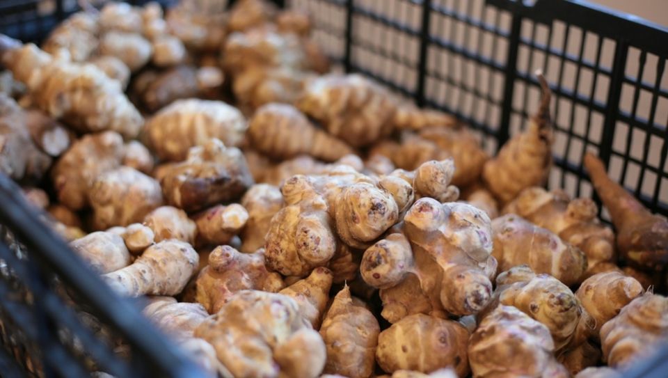 ����������: ��������� �������� ��� ��������