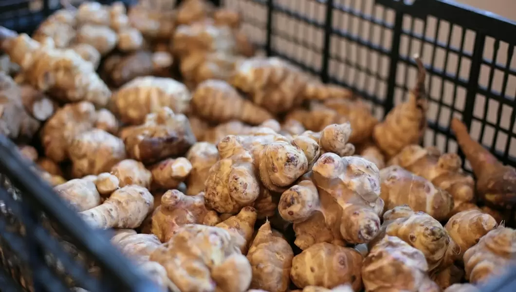 Топинамбур: природный помощник для здоровья