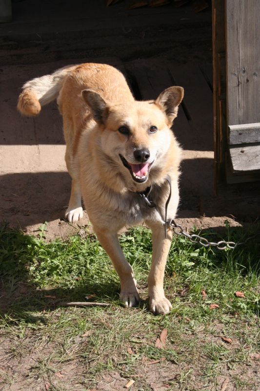 ��� �������� ������� ���������� �������� ����������� ������?