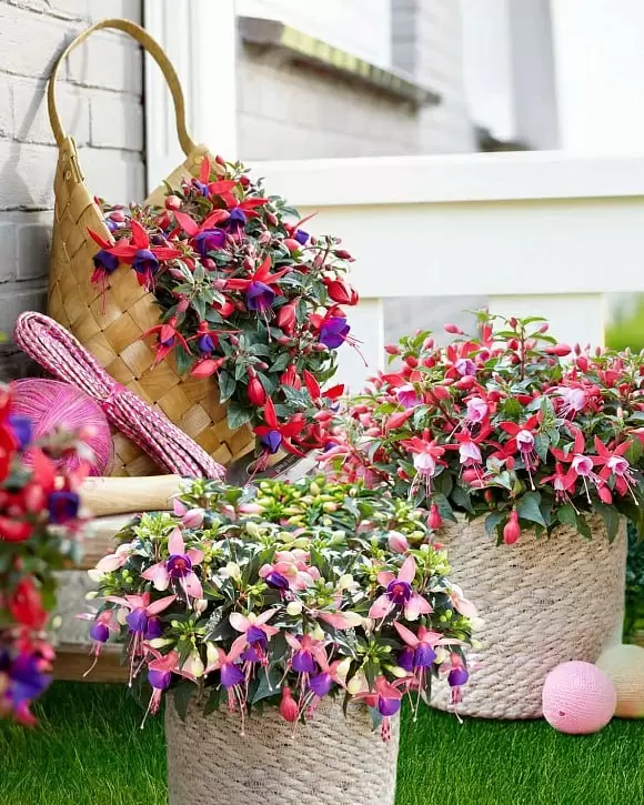 Апрель — время подготовить тару для вегетативной рассады