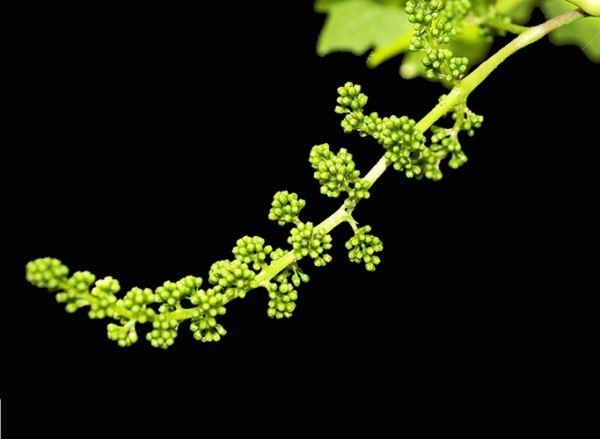 ����������� ������ ���������: �������� ��������� �� ���������� � ��������