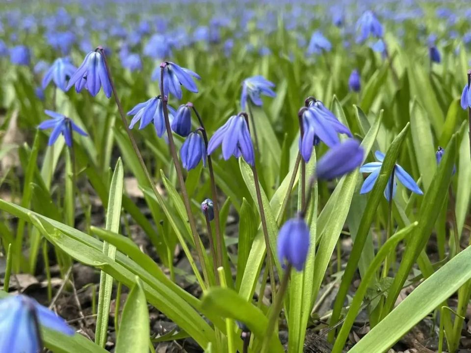 � ������ � ������� �������� ��������� ����������