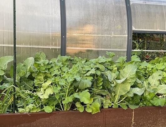 ��� ������� ���������� �������� � ������ ������� � �������� �����