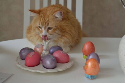 Результаты нашего ИИ-опроса