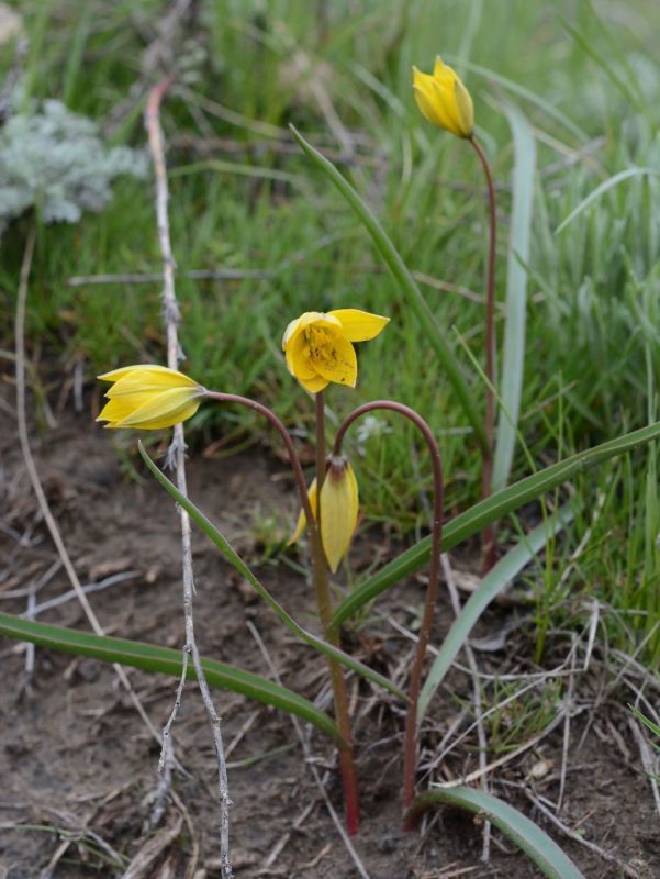 �������� ������� � ��������