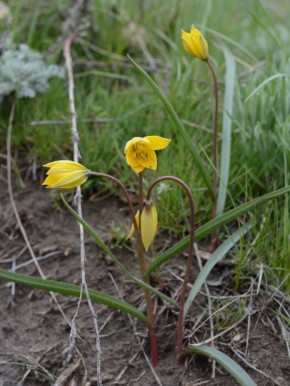 �������� ������� � ��������