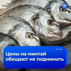 Когда самая популярная рыба перестанет дорожать?