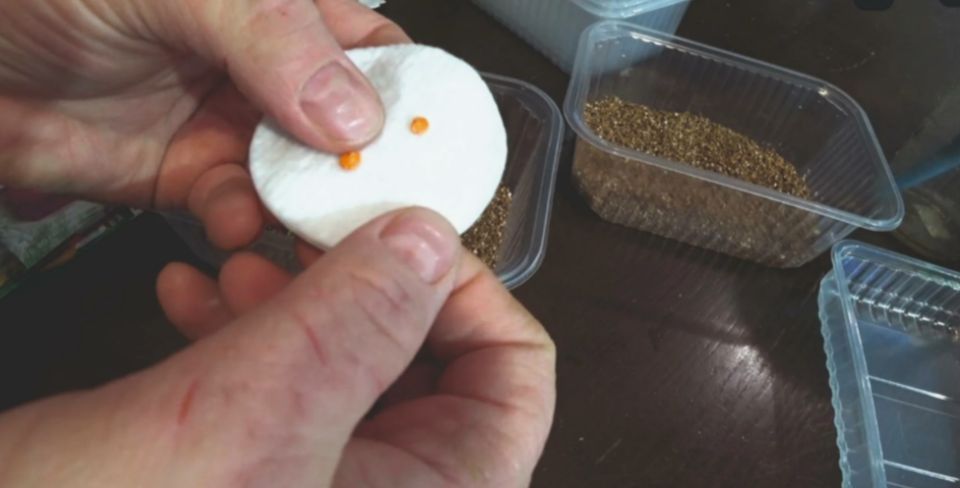 ��� ��������� ���������� ������ ����������: ����������� ������ ��� ���������