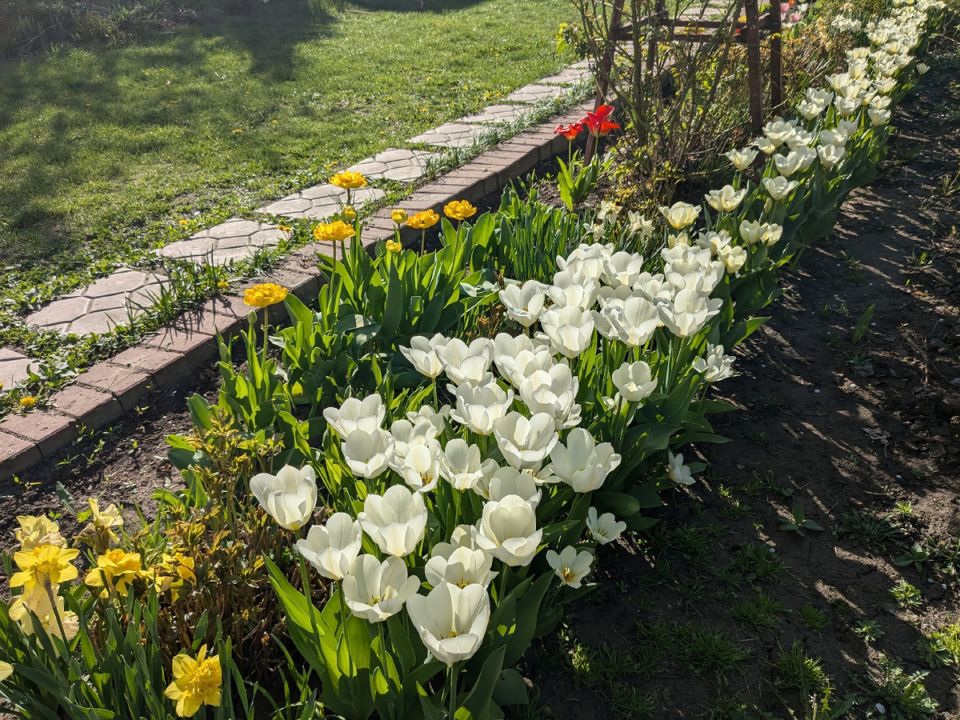 ����� � ����: ��� ������ ����������� ���������� ���������� �����