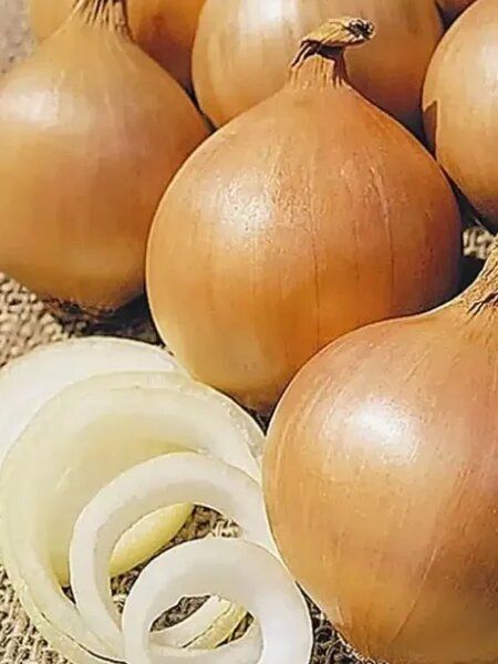 ��� �����: ������ ������ � ������������� ��������� ��� ����� ��������