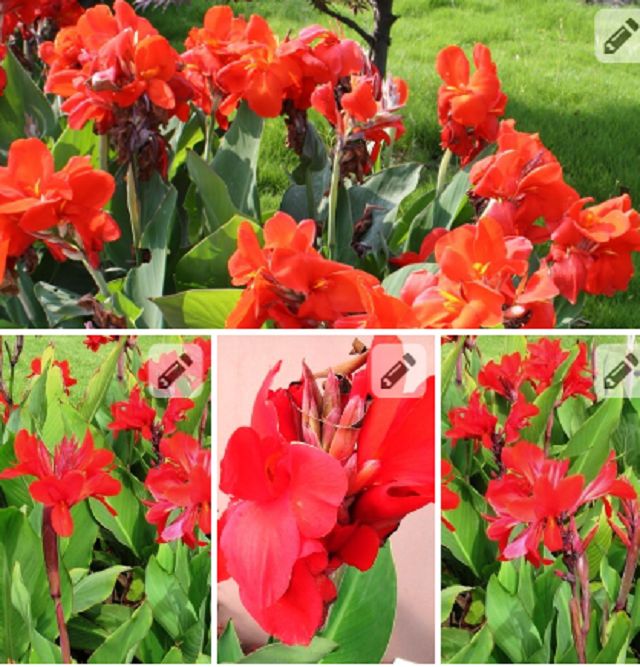 ���� �� �������: ������ �� ������ � ������� ��������