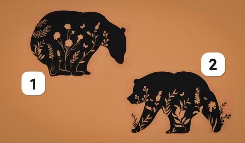Как ваш выбор медведя может раскрыть тайны вашей личности