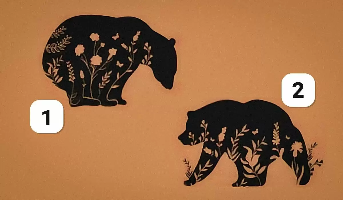 Как ваш выбор медведя может раскрыть тайны вашей личности