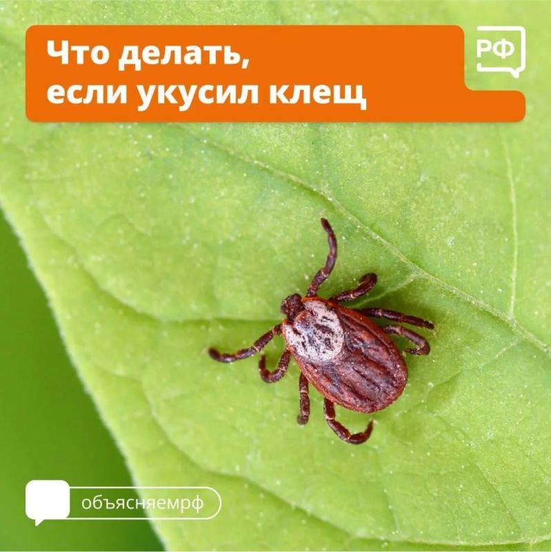 � ����������� ������� ���������� ��������� ����� � ����� ����� ��������� ������� ������������