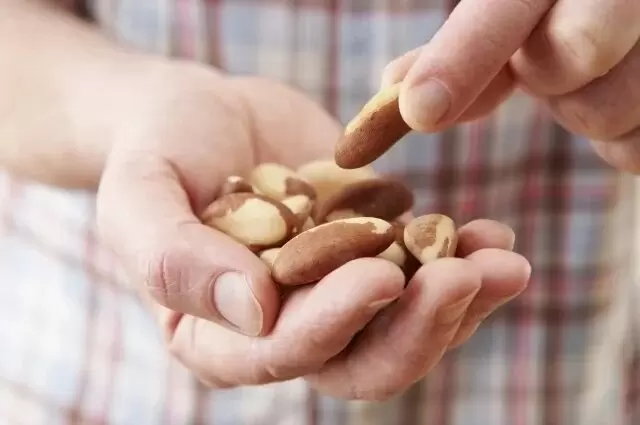 Оптимальное количество орехов в рационе