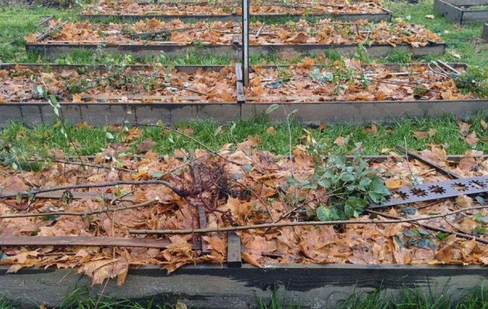 ��� ������ ������ �� ����: ������� ������ � ������ �� ��������