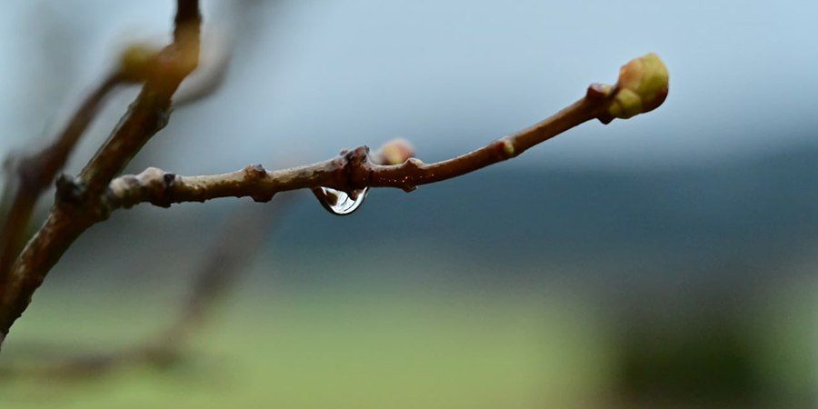 � ����������� ������� ���� ������� � ��������������� ������ � ���������� ������