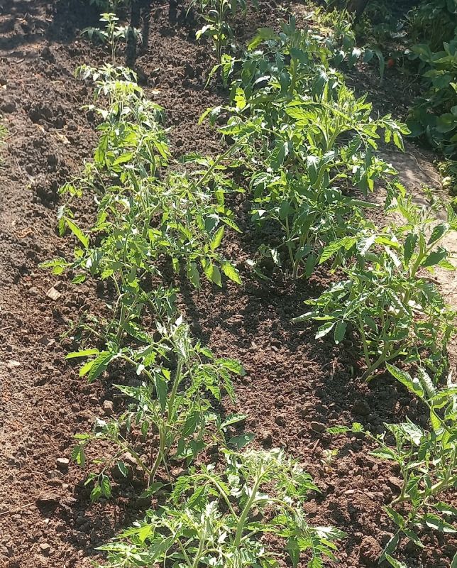 ��� ��������� ������������� ������: ������� �������� �������