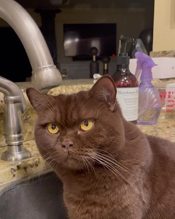 � �������� ������ 7 ������������ ��������� ��� ���� �� �����