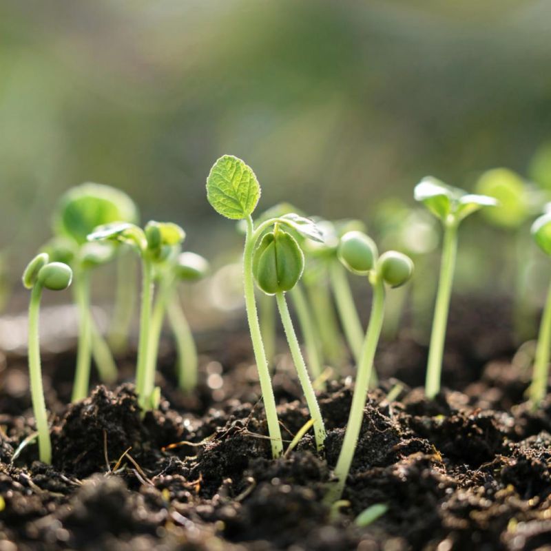 �� ������� �� ������: ��� ��������� ��������� ������� �������