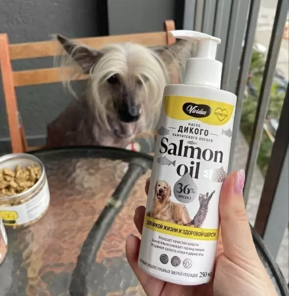 Польза масла дикого лосося для кастрированных животных
