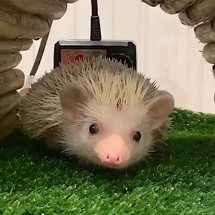 ������� ����!. ���� ������� ���� ������!