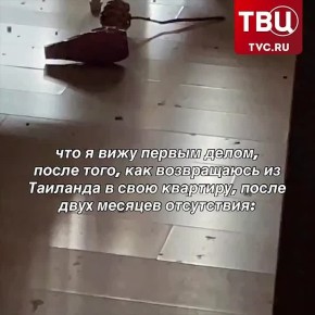 ����� ������������� �������� ���������, ���� ��� ���� � �����������