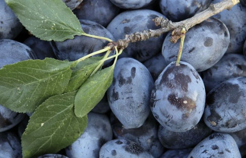 ������� ��������� ������ �����: 10 ����������� ������� ��� ���������