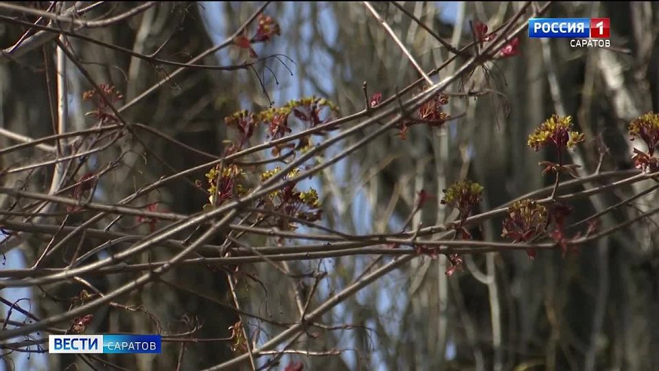 ������� ����� ������� �������, � ������� ��������� ������������ �����