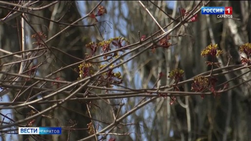 ������� ����� ������� �������, � ������� ��������� ������������ �����